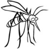 Mosquito
